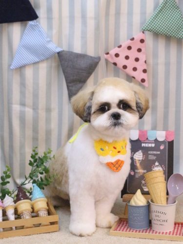 20250503ぽん吉くん 